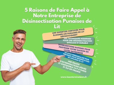 5 raisons de faire appel a notre entreprise de punaises de lit