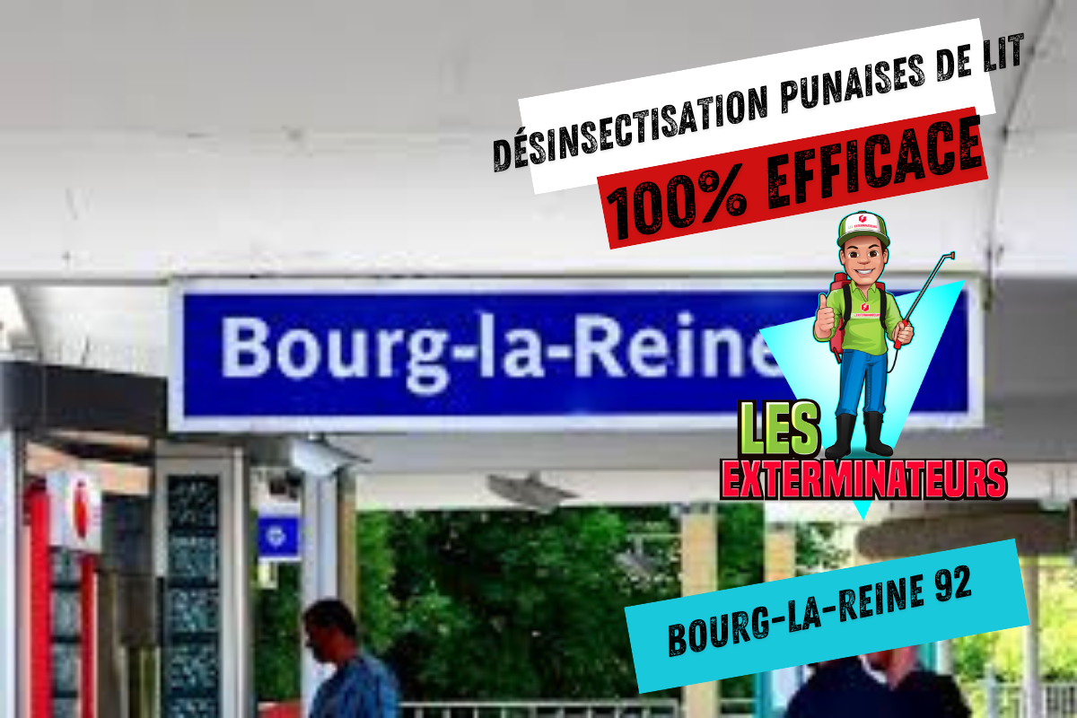 Entreprise punaise de lit Bourg-la-Reine 