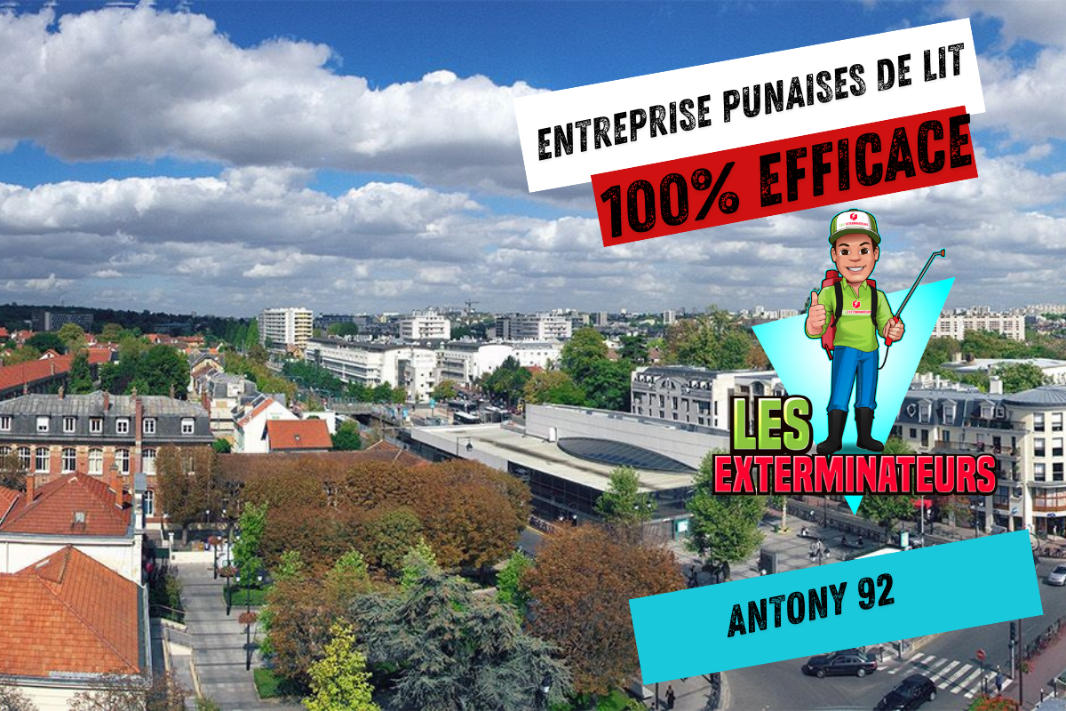 exterminateur-punaises-de-lit-antony-92160 Exterminateur punaises de lit Antony 92160