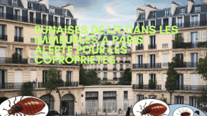 Punaises de lit immeubles Paris
