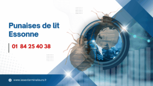 Désinsectisation punaises de lit Essonne