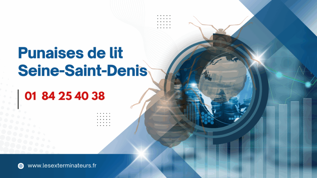 Désinsectisation punaises de lit Seine-Saint-Denis