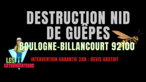 Nid de guêpes Boulogne-Billancourt