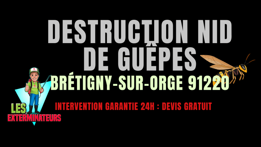 nid de guêpes Brétigny-sur-Orge