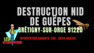 nid de guêpes Brétigny-sur-Orge