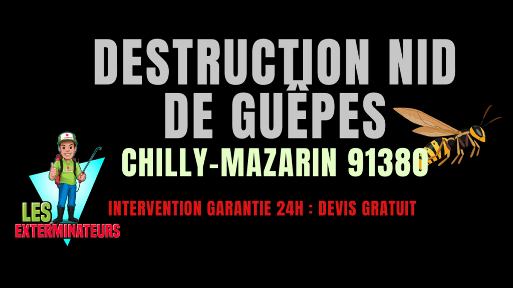 nid de guêpes Chilly-Mazarin