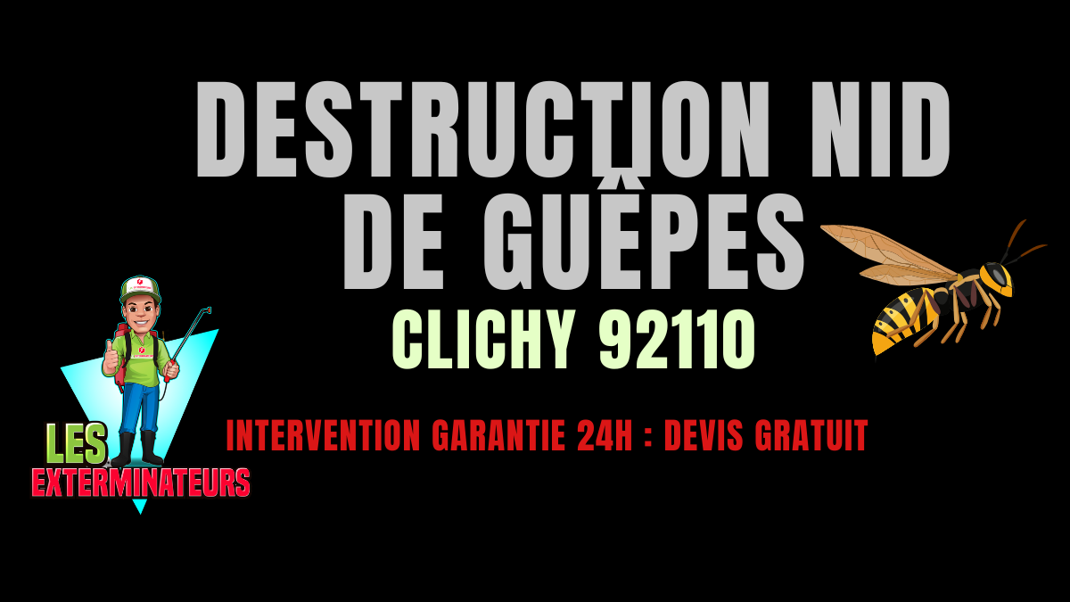 Nid de guêpes Clichy