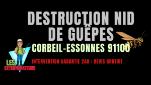 Destruction nids de guêpes Corbeil-Essonnes