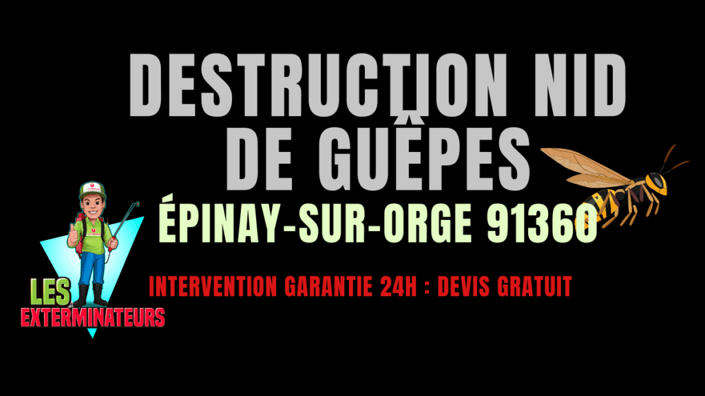 Nid de guêpes Épinay-sur-Orge