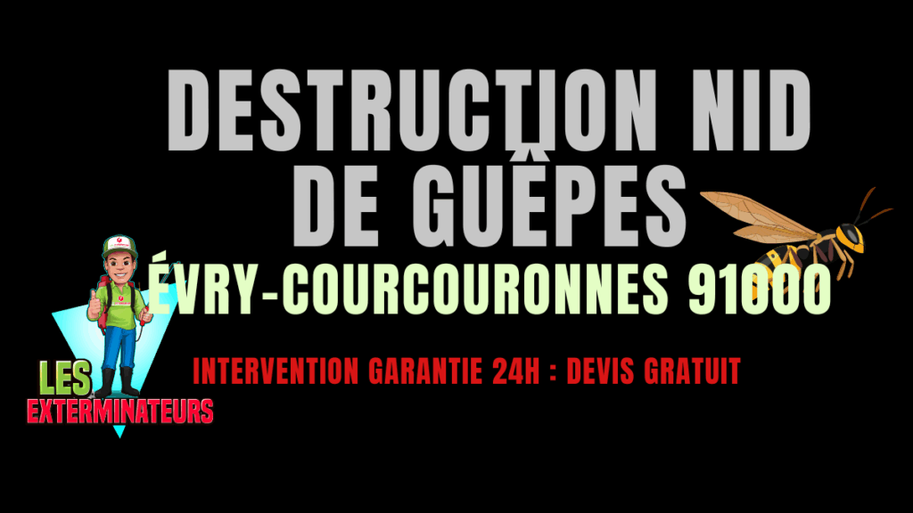 nids guêpes Évry-Courcouronnes