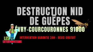 nids guêpes Évry-Courcouronnes