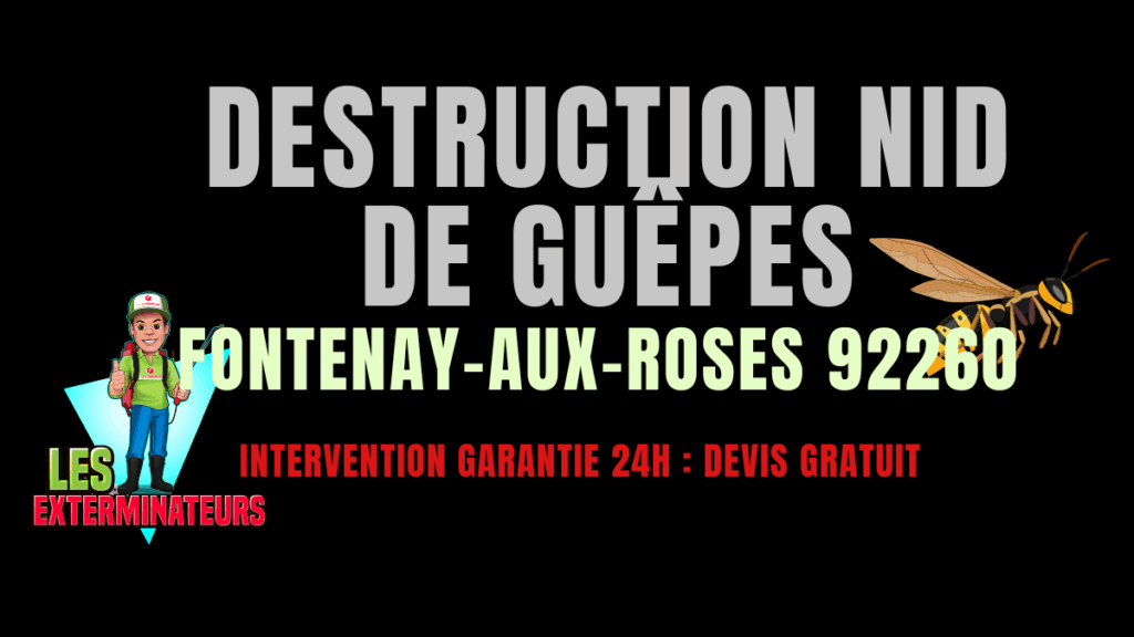 Nid de guêpes Fontenay-aux-Roses