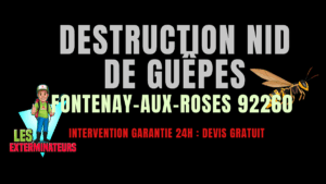 Nid de guêpes Fontenay-aux-Roses