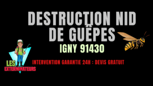 Nid de guêpes Igny