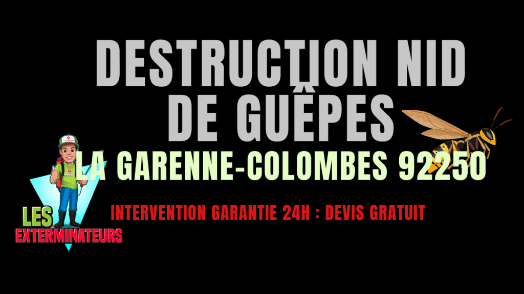 Nid de guêpes La Garenne-Colombes