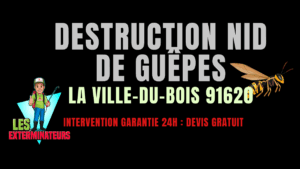 Nid de guêpes La Ville-du-Bois