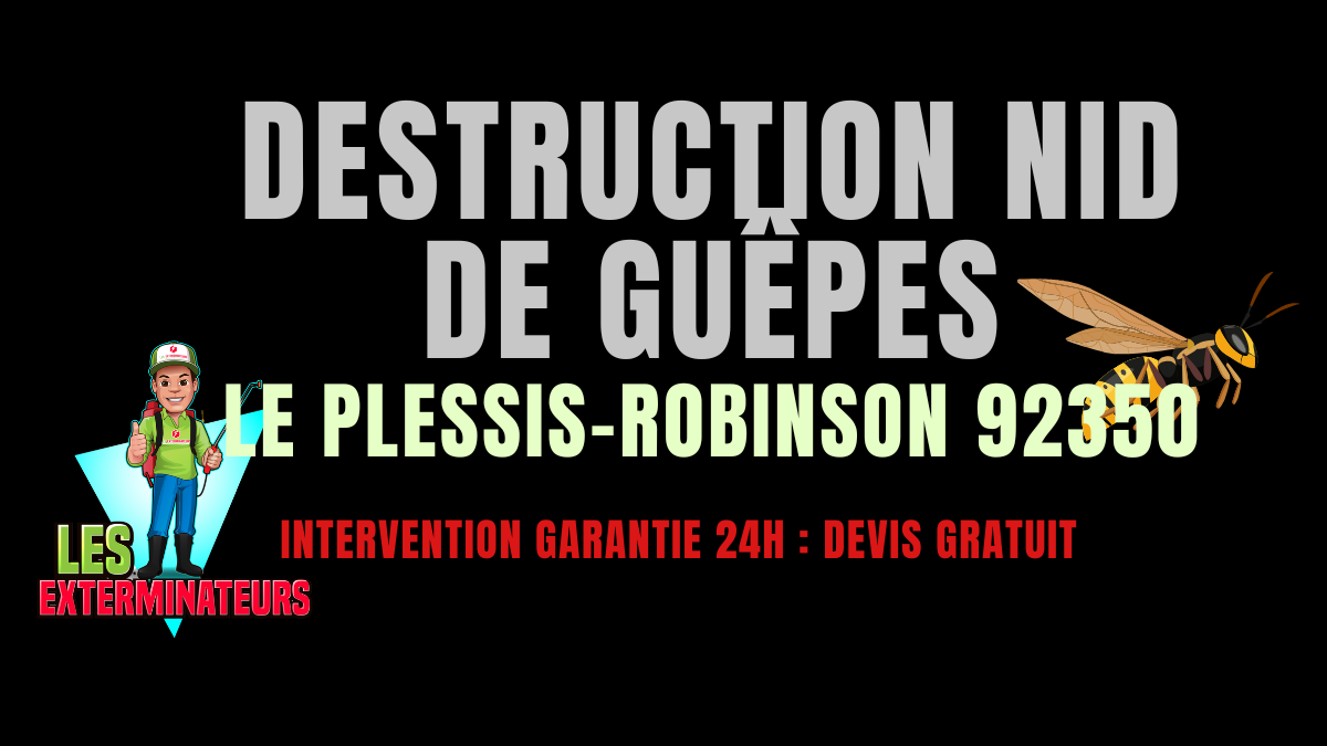 Nid de guêpes Le Plessis-Robinson