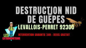 Nid de guêpes Levallois-Perret