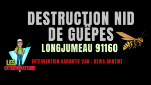destruction nid de guêpes Longjumeau