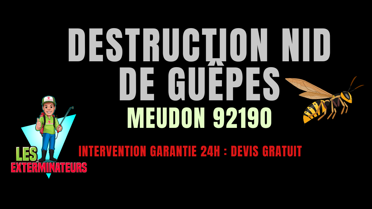 Nid de guêpes Meudon