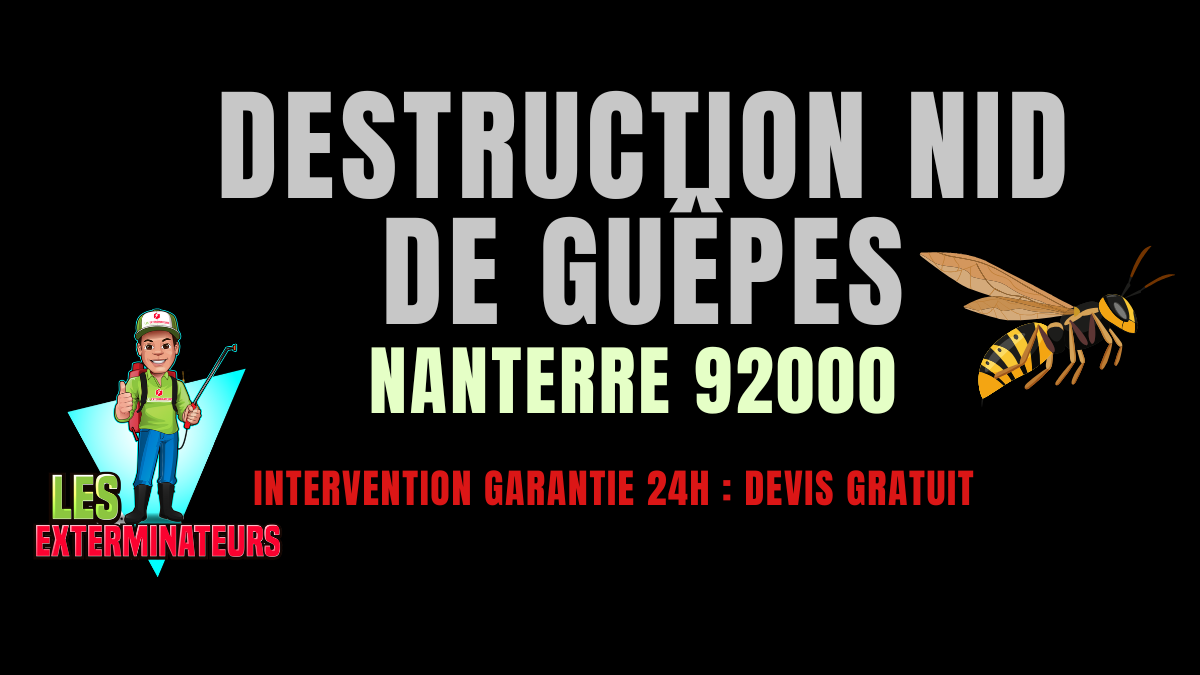 Nid de guêpes Nanterre