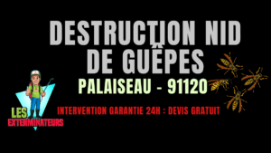 Destruction nid de guêpes Corbeil-Essonnes