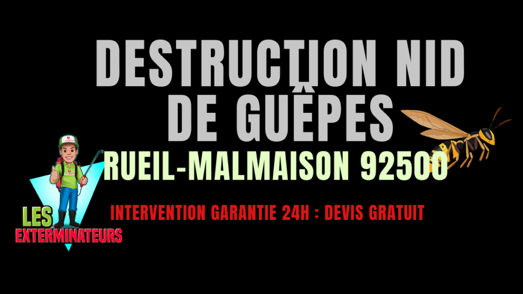 Nid de guêpes Rueil-Malmaison