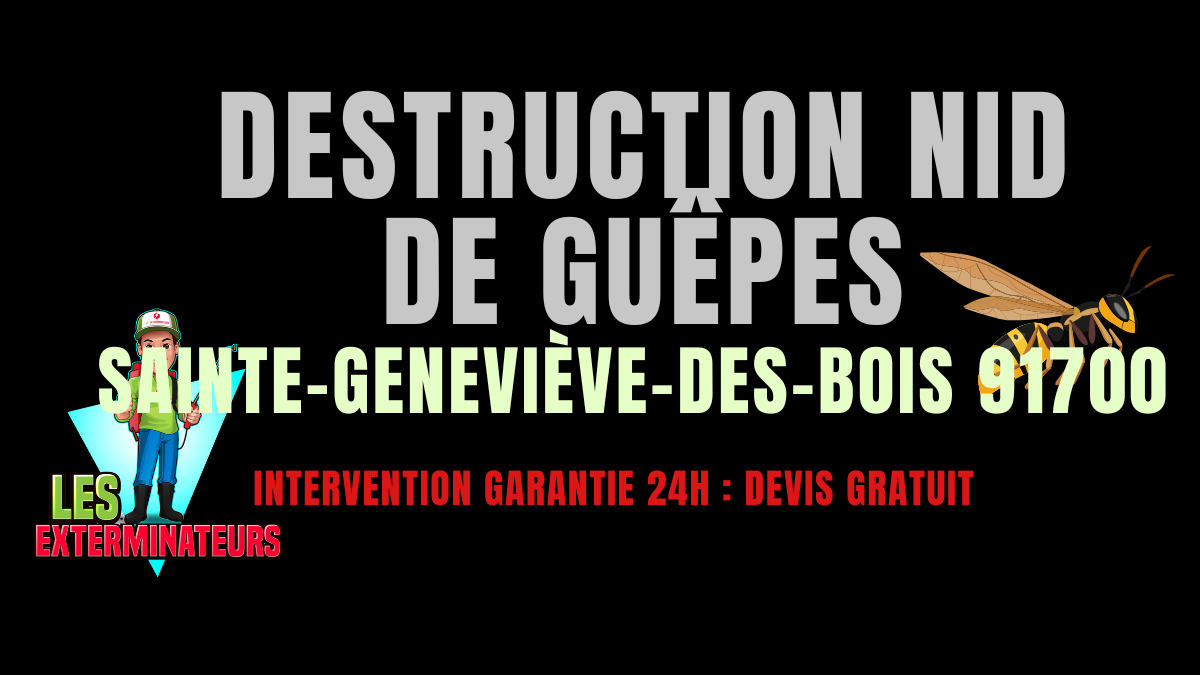 Nids de guêpes Sainte-Geneviève-des-Bois