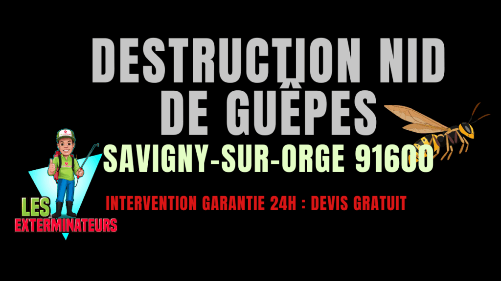 Nid de guêpes Savigny-sur-Orge