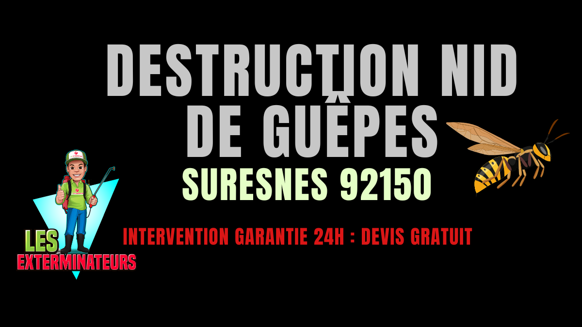 Nid de guêpes Suresnes