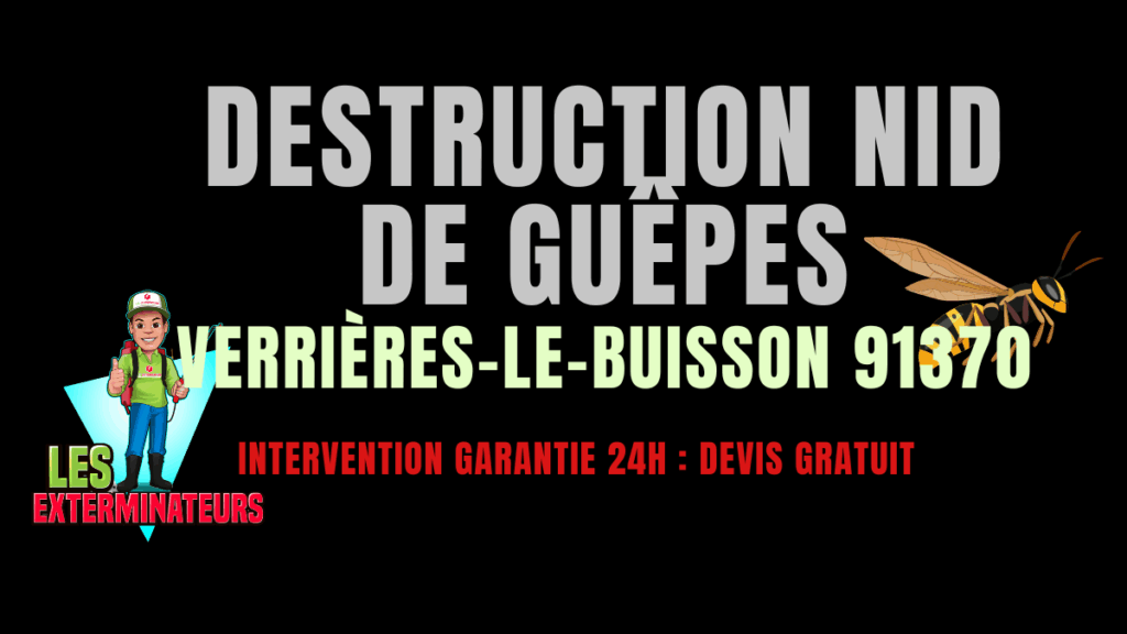 nid de guêpes Verrières-le-Buisson