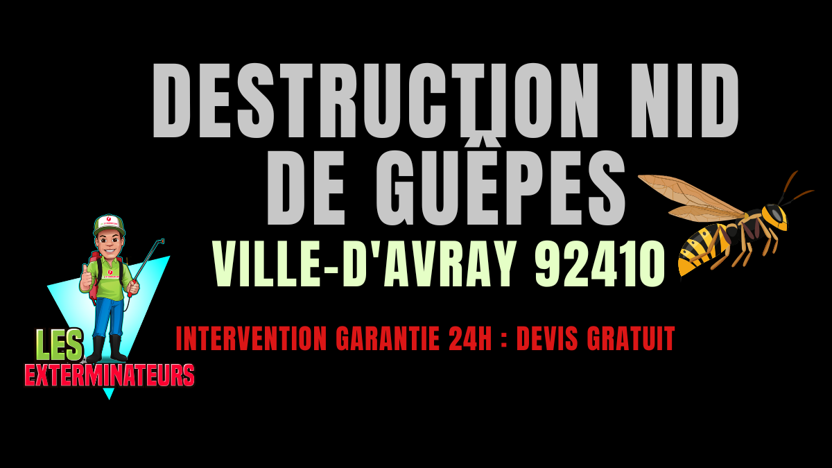 Nid de guêpes Ville-d'Avray