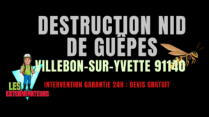nids de guêpes Villebon-sur-Yvette