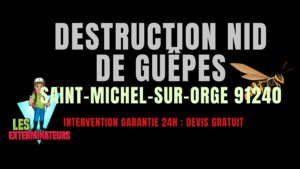 nid de guêpes à Saint-Michel-sur-Orge