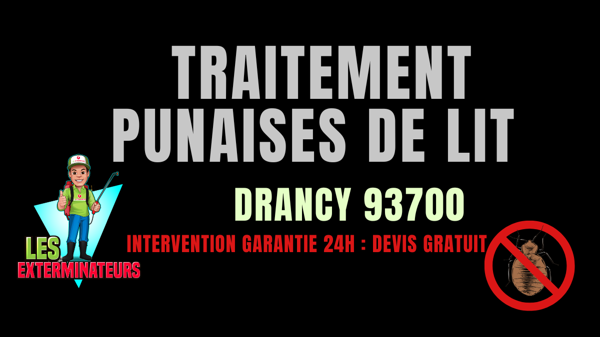 Punaises de lit Drancy