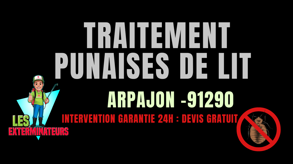Traitement des punaises de lit à Arpajon