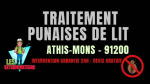 Traitement punaises de lit Athis-Mons