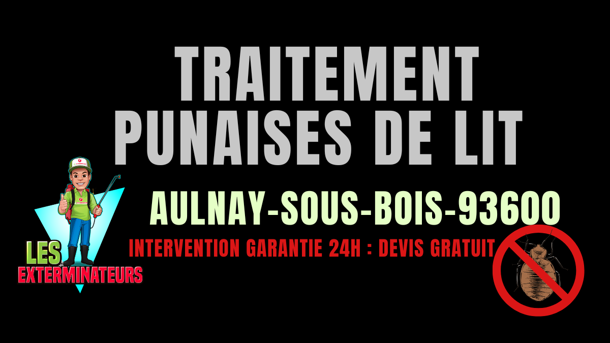 Punaises de lit Aulnay-sous-Bois