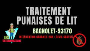 Punaises de lit Bagnolet