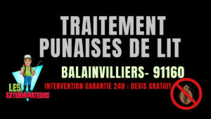 Traitement des punaises de lit à Ballainvilliers