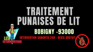Punaises de lit Bobigny