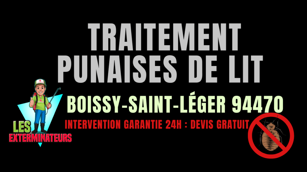 Punaises de lit Boissy-Saint-Léger