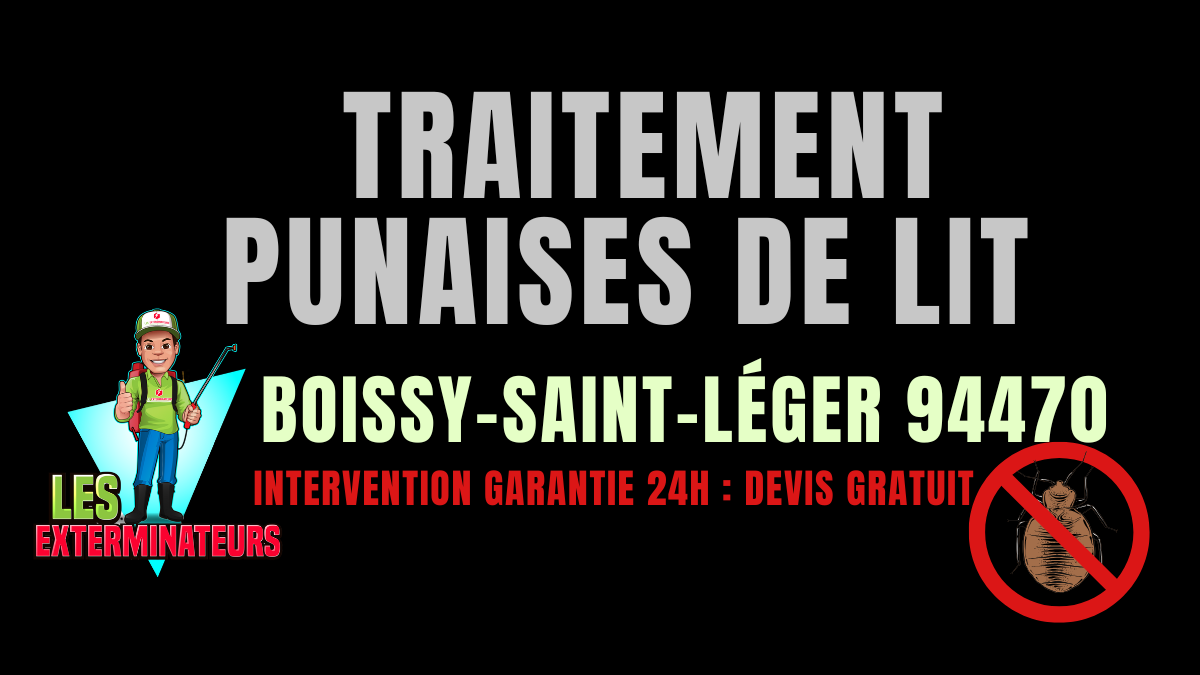 Punaises de lit Boissy-Saint-Léger