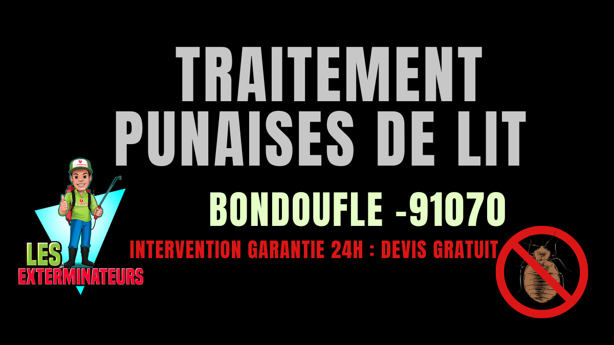 Traitement des punaises de lit à Bondoufle