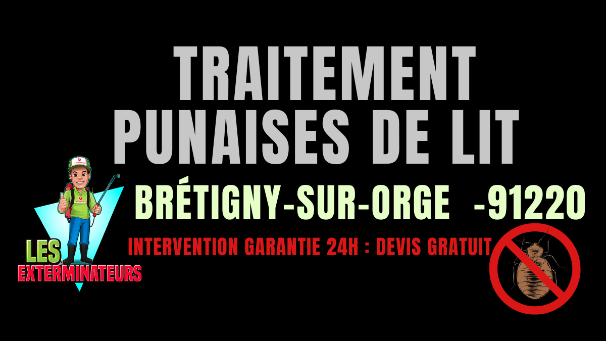 punaises de lit Brétigny-sur-Orge