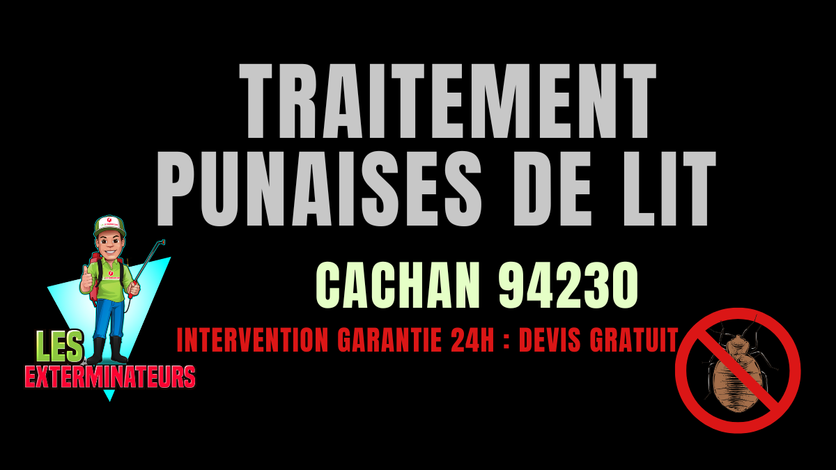 Punaises de lit Cachan