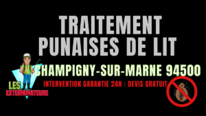 Punaises de lit Champigny-sur-Marne