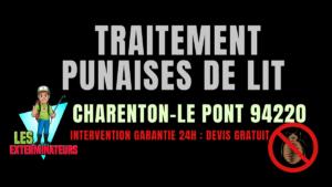 Punaises de lit Charenton-le Pont