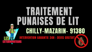 Traitement des punaises de lit à Chilly-Mazarin
