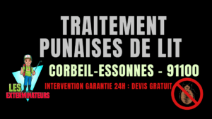 Traitement des punaises de lit à Corbeil-Essonnes